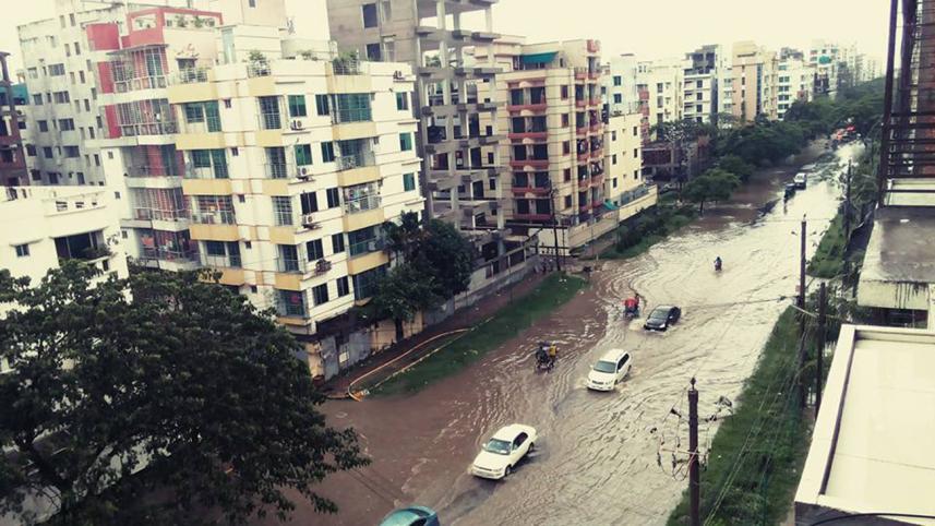 rain clogged 3 new.jpg