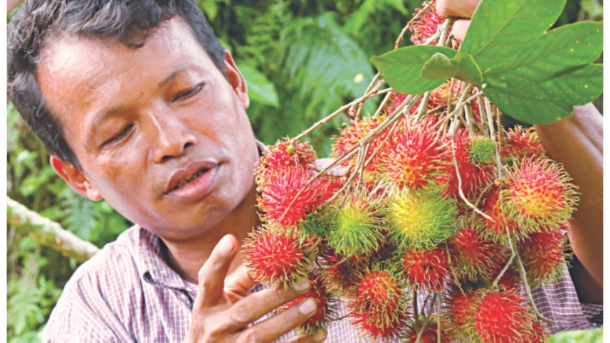 rambutan1.jpg