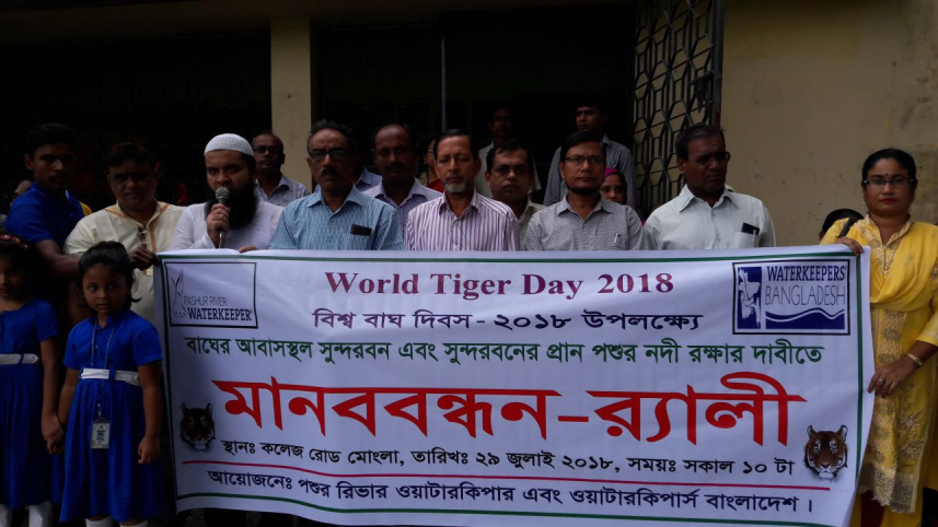 bengal tiger habitat Sundarbans