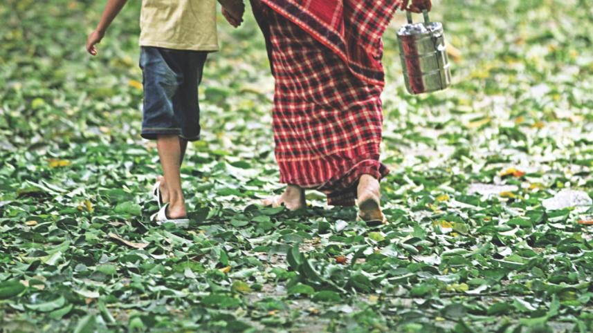 Season Of Change  2.jpg