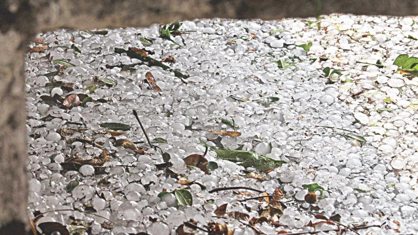 Season Of Change  9.jpg