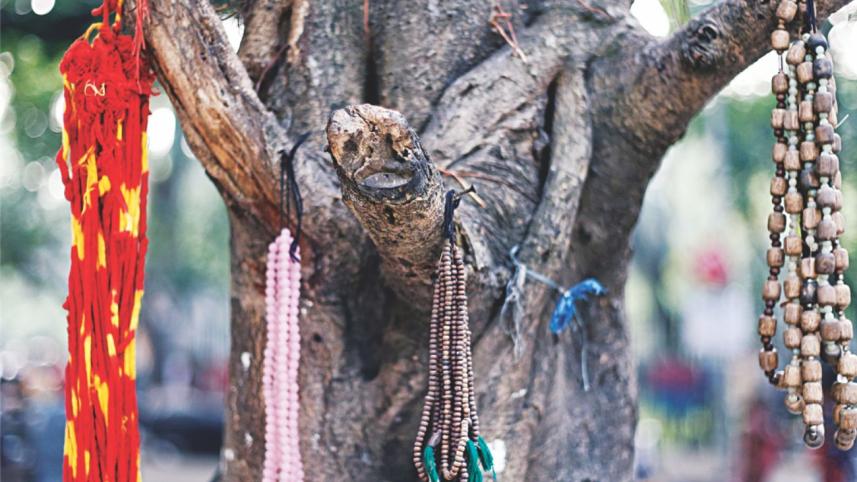 Selling Luck On the Streets