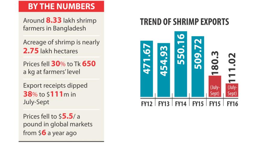 Shirmip products.jpg