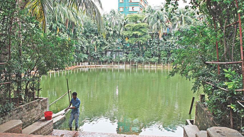 st_joseph_school_pond.jpg