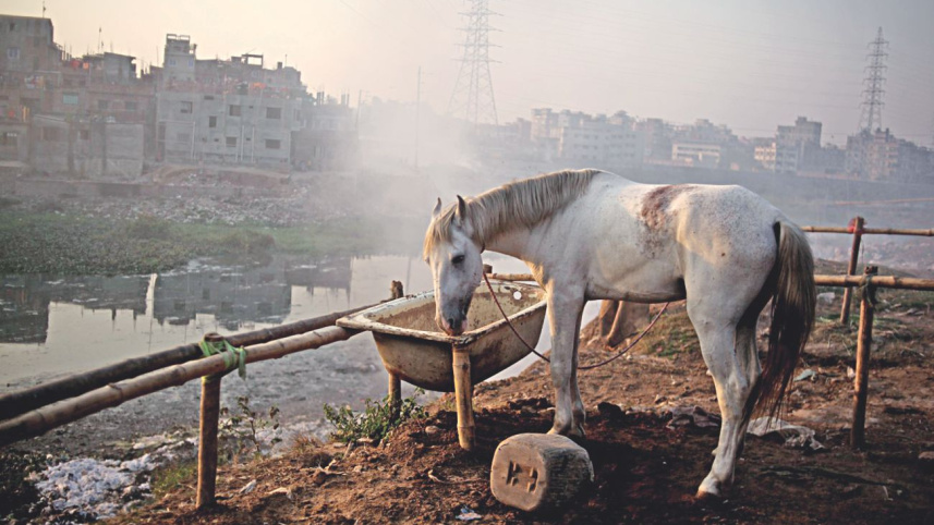Water, Pollution, River,