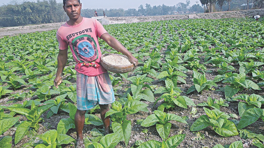 subsidised_fertiliser_2.jpg