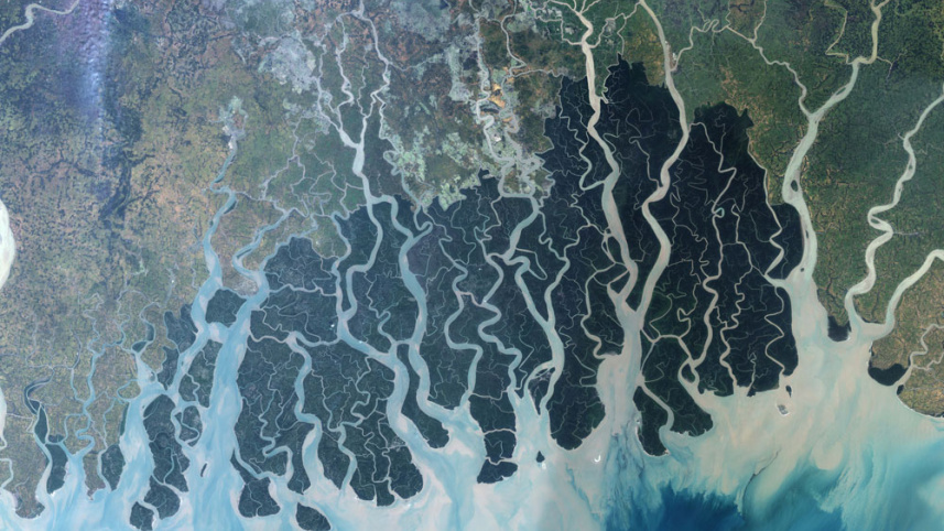 sundarban_nasa.jpg