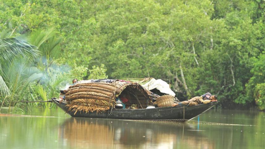 sundarbans3.jpg