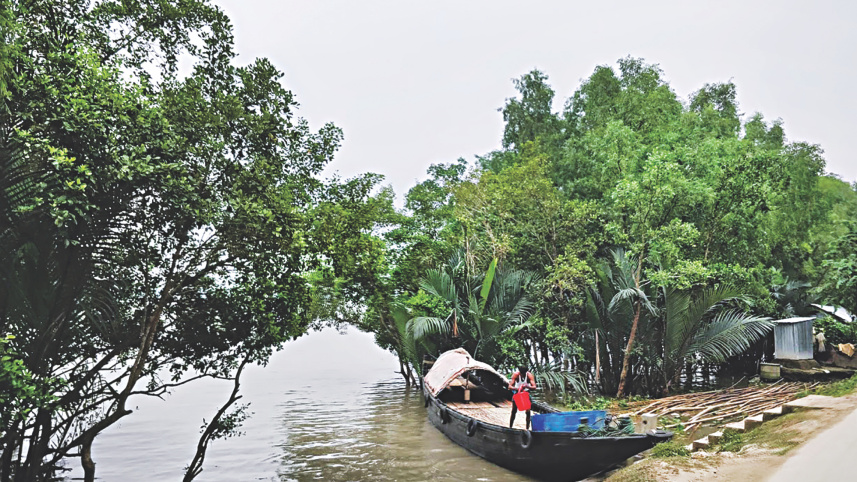 sundarbans_3_2.jpg