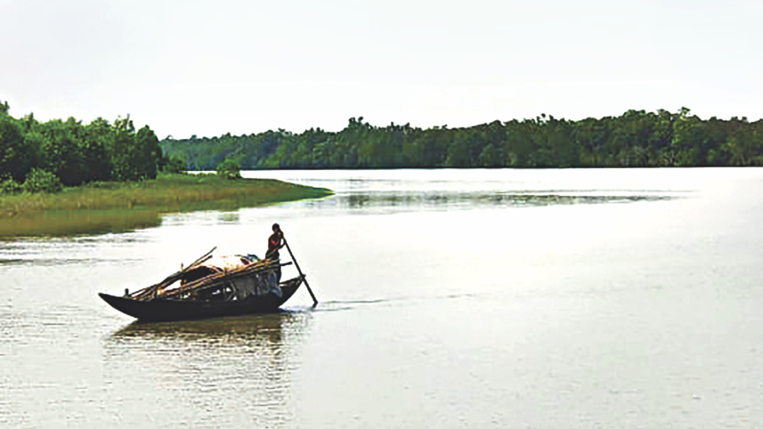 sundarbans_6_1.jpg