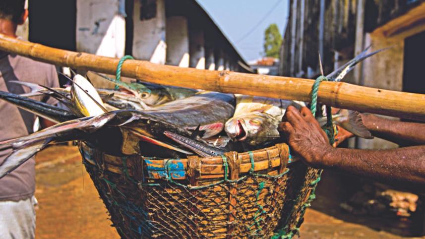 Surviving fish market