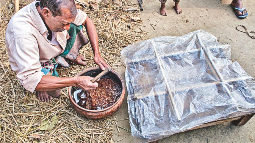 Sweet Winter Mornings 5.jpg