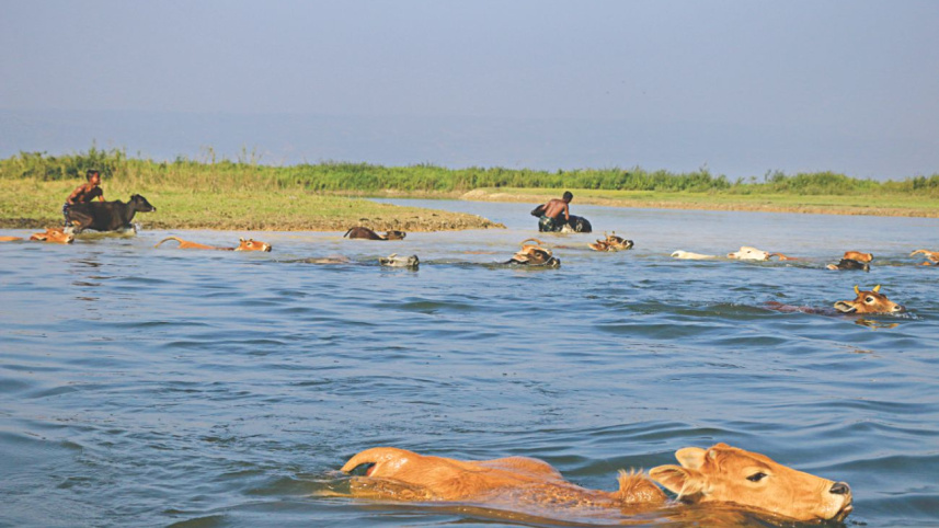 technology_at_tanguar_haor