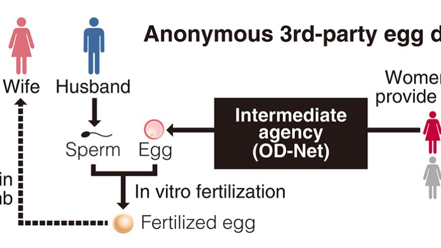 Japan birth resulting from an anonymous third-party egg
