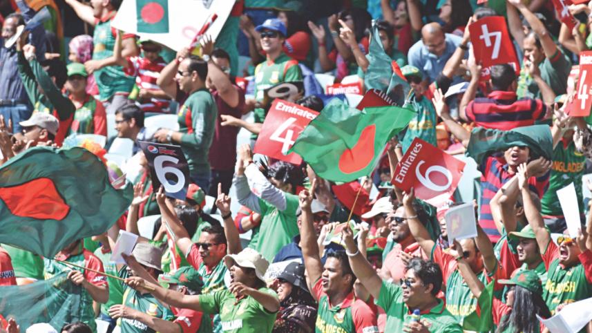 tiger fans enjoyed.jpg