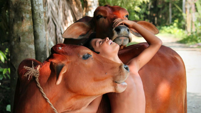 To Love Wholeheartedly