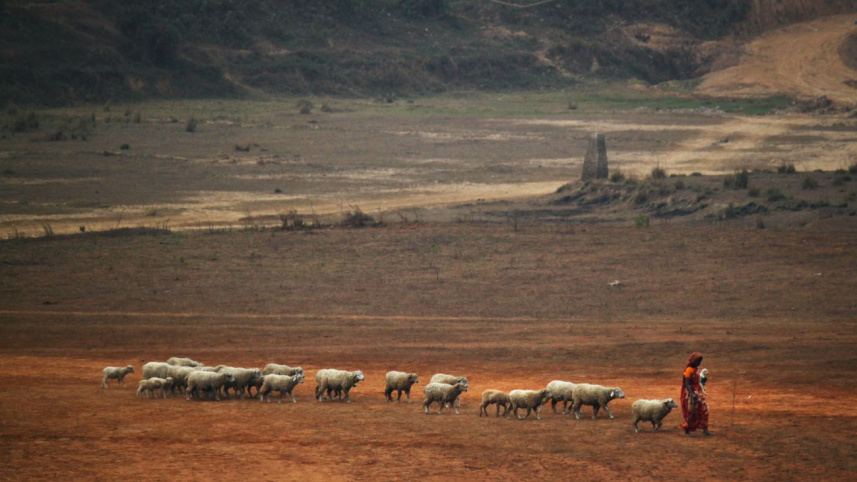 To Love Wholeheartedly