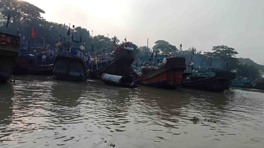 transporting_hilsa_2.jpg
