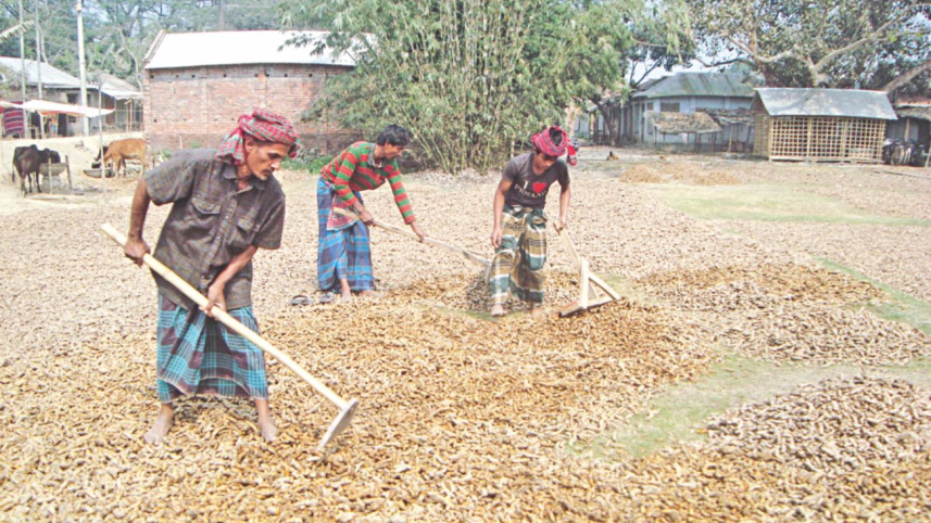 Turmeric traders 2.jpg