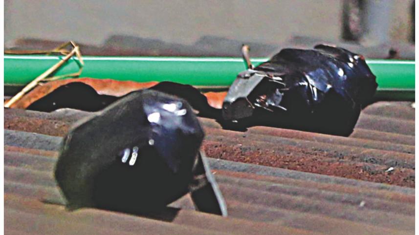 unexploded grenades.jpg