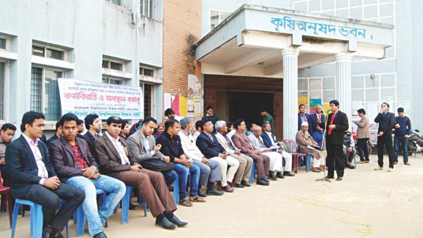 university teachers 2.jpg