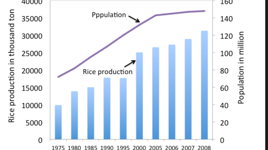 rice production graph