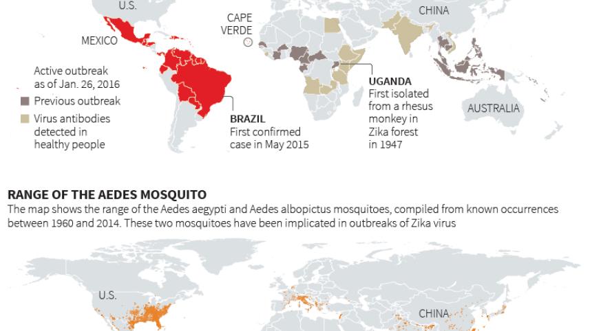 Zika-reuters.jpg