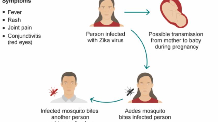 zika virus.jpg