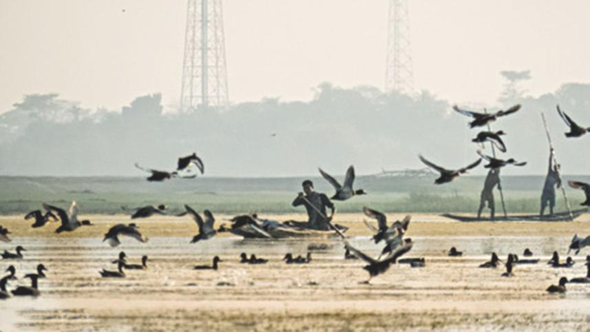 The Haor's of Bangladesh - Birders Paradise