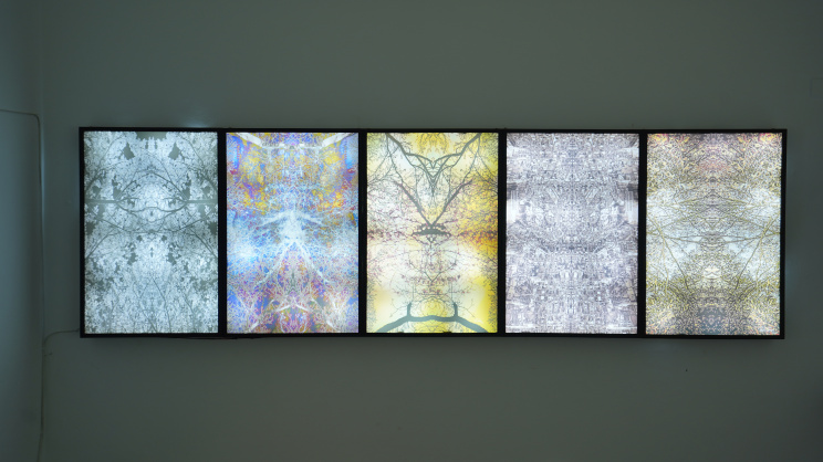 Tanvir Parvez’s third solo exhibition reflects on mind and perception