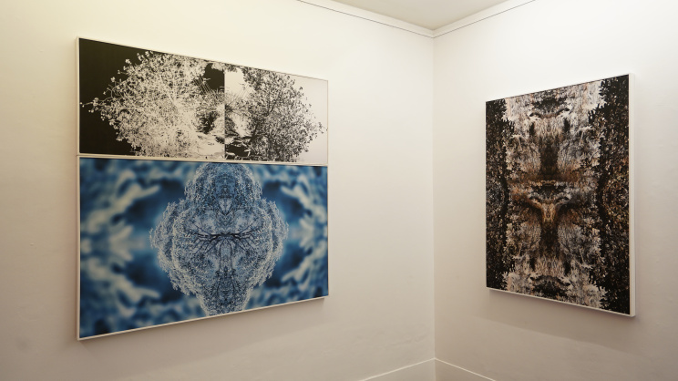 Tanvir Parvez’s third solo exhibition reflects on mind and perception