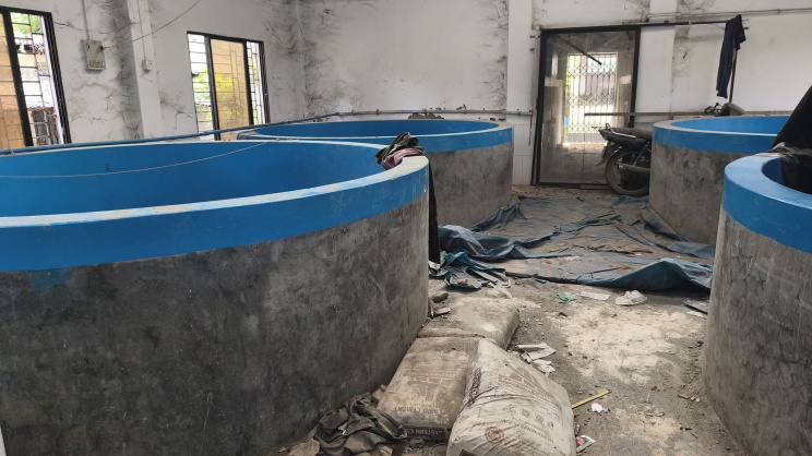 The hatchery facilities are in a very poor condition. Photo: Star