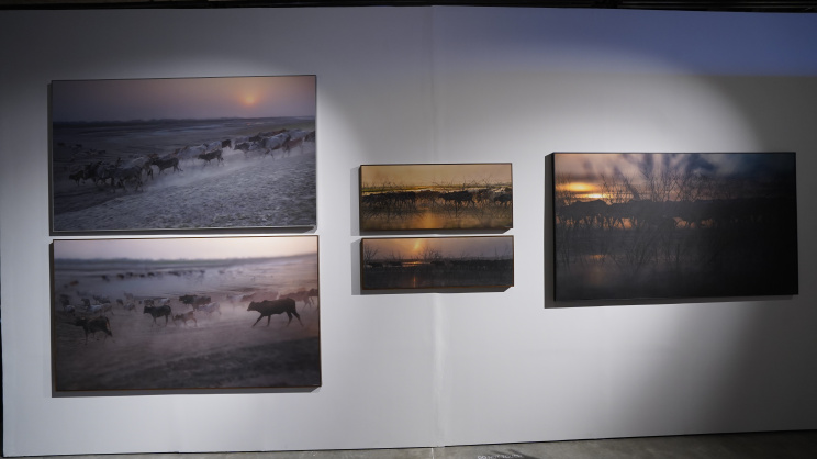 ‘The Quiet Within’: Exhibition blurs the line between photography and painting