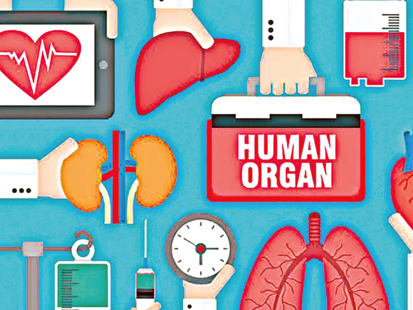 organ-donation.jpg