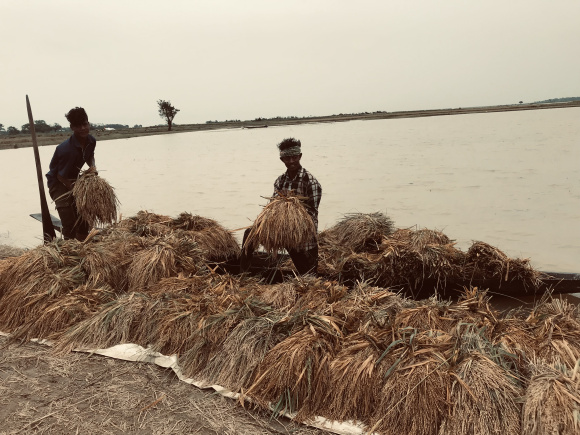 Haor Crisis