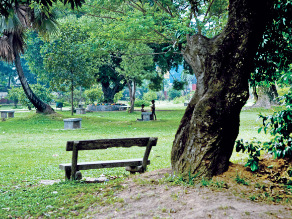 my-dhaka.jpg