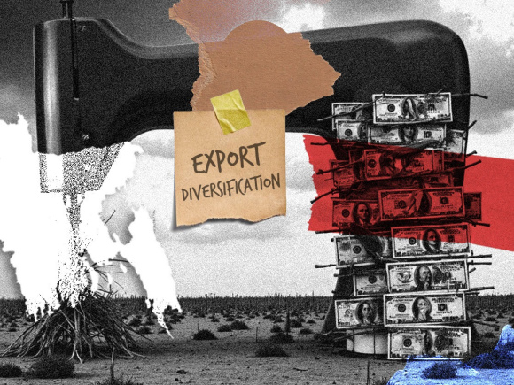 1_expert_diversification VISUAL SALMAN SAKIB SHAHRYAR.jpg