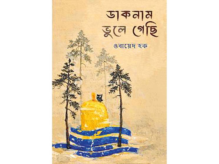 Daaknam-Bhule-Gechi.jpg