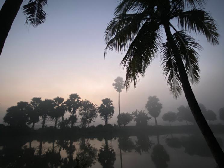 Waterside reflection