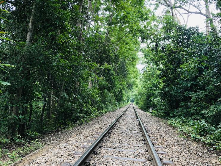 lawachara    Picture-perfect landscapes in Bangladesh: 7 spots every photographer must visit