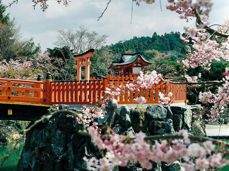 Japan    5 must-visit places in the world during spring season