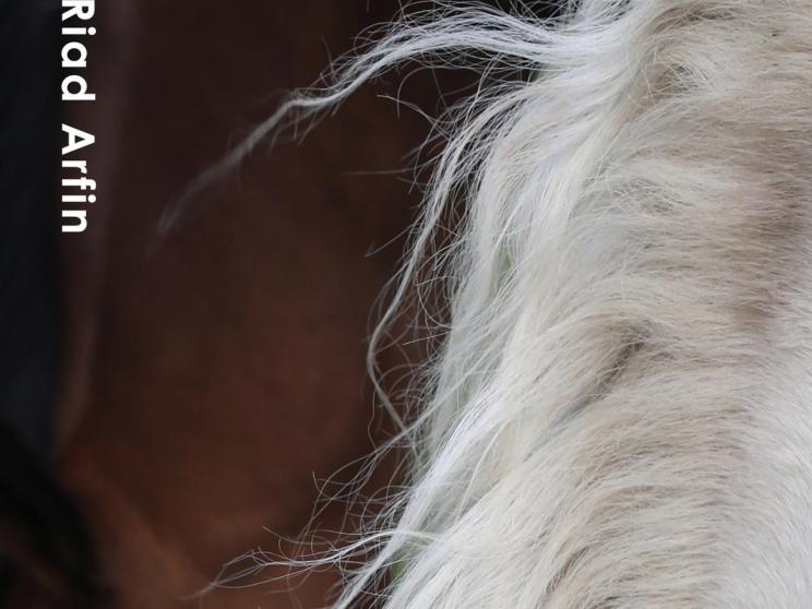 A Border Between Us poster. pg