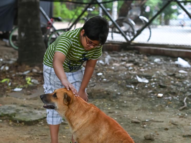 How to keep stray dogs and cats warm this winter 