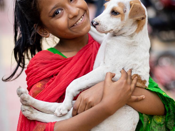 How to keep stray dogs and cats warm this winter 