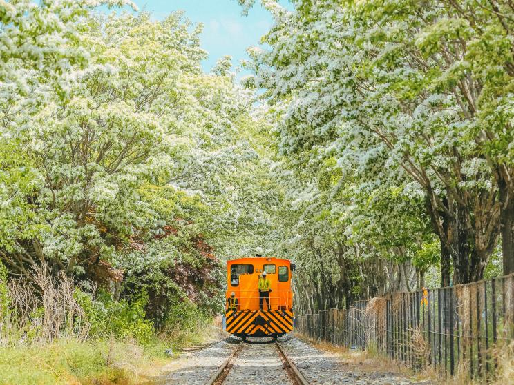south korea   All aboard! Explore Asia’s 5 most Instagrammable train stations     hanvin-cheong-epcc48vdxyi-unsplash.jpg