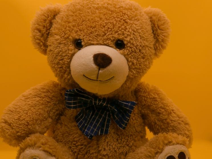 Teddy    Seven days of Valentine’s love, seven ways to go broke!     carter-baran-75iglbgqrls-unsplash.jpg