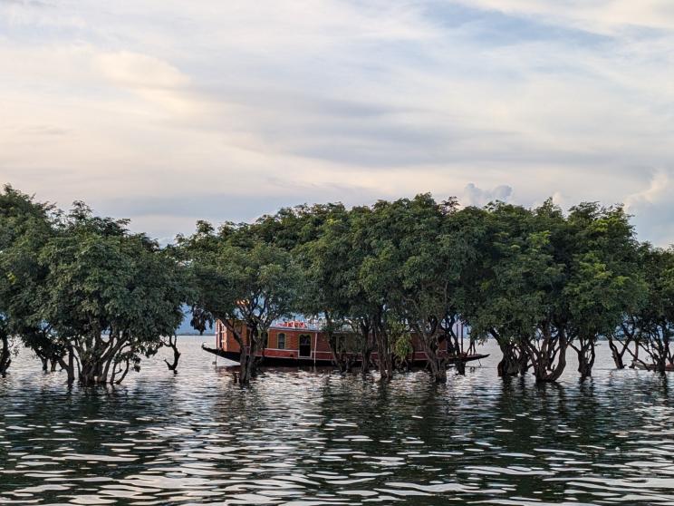 Ban on Tanguar Haor houseboats: Brilliant fix or overkill move?