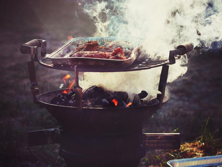Easy winter barbecue tricks to get that perfect restaurant flavour       dina-sqsy0awfgjc-unsplash.jpg