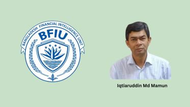 Iqtiaruddin Md Mamun.jpg