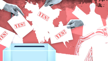 Referendum illustration.png